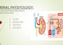 create high yield medico notes, summaries and diagrams